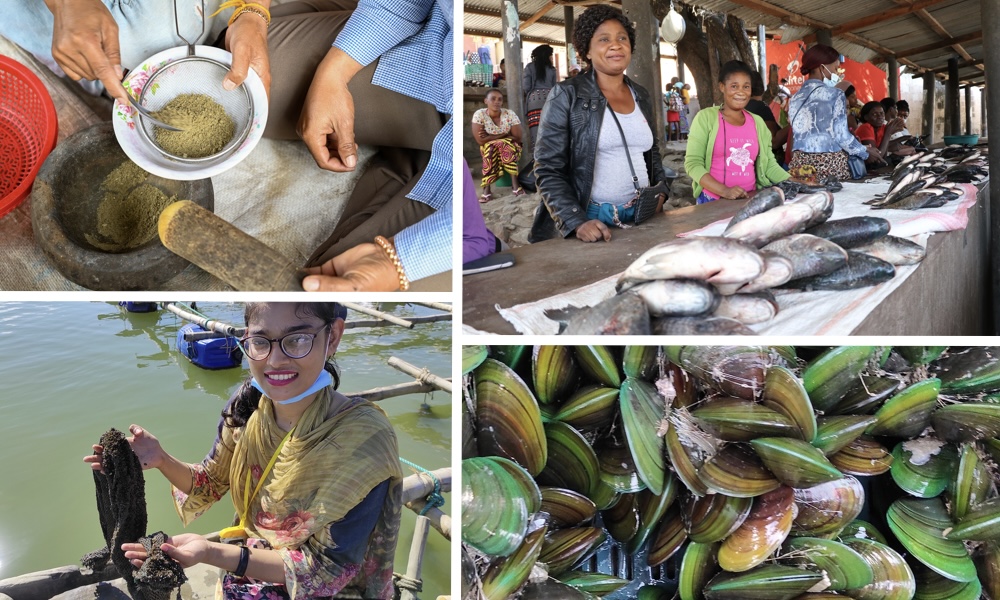 Aquatic foods are frequently categorized simply as "fish," which fails to capture their full diversity, including sea plants, mollusks, and crustaceans.